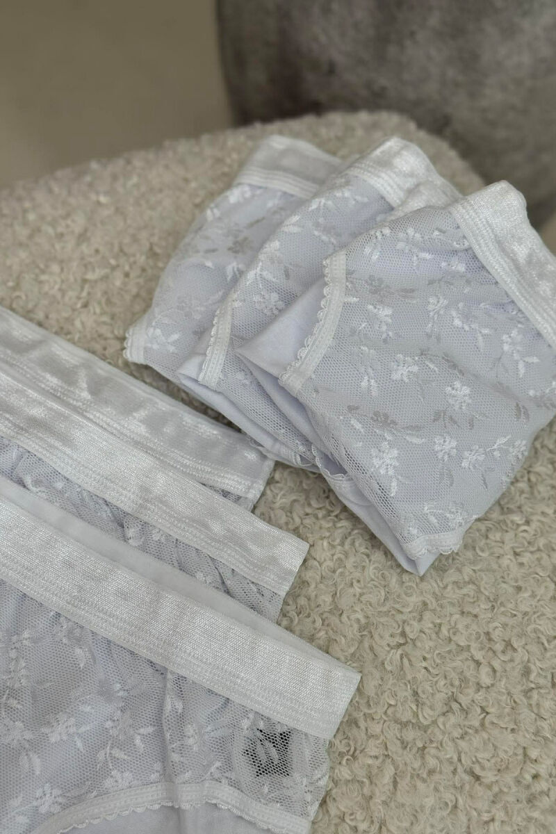 6 PAIR ONE COLOR TULLE WOMEN BRIEFS WHITE-E BARDHE - 2