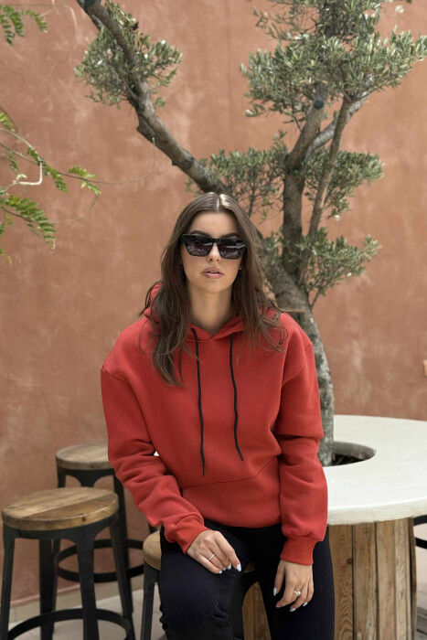 ONE COLOR FLUFFY SIMPLE WOMEN HOODIE BRICK/TULLE - KLAUDIO FASHION